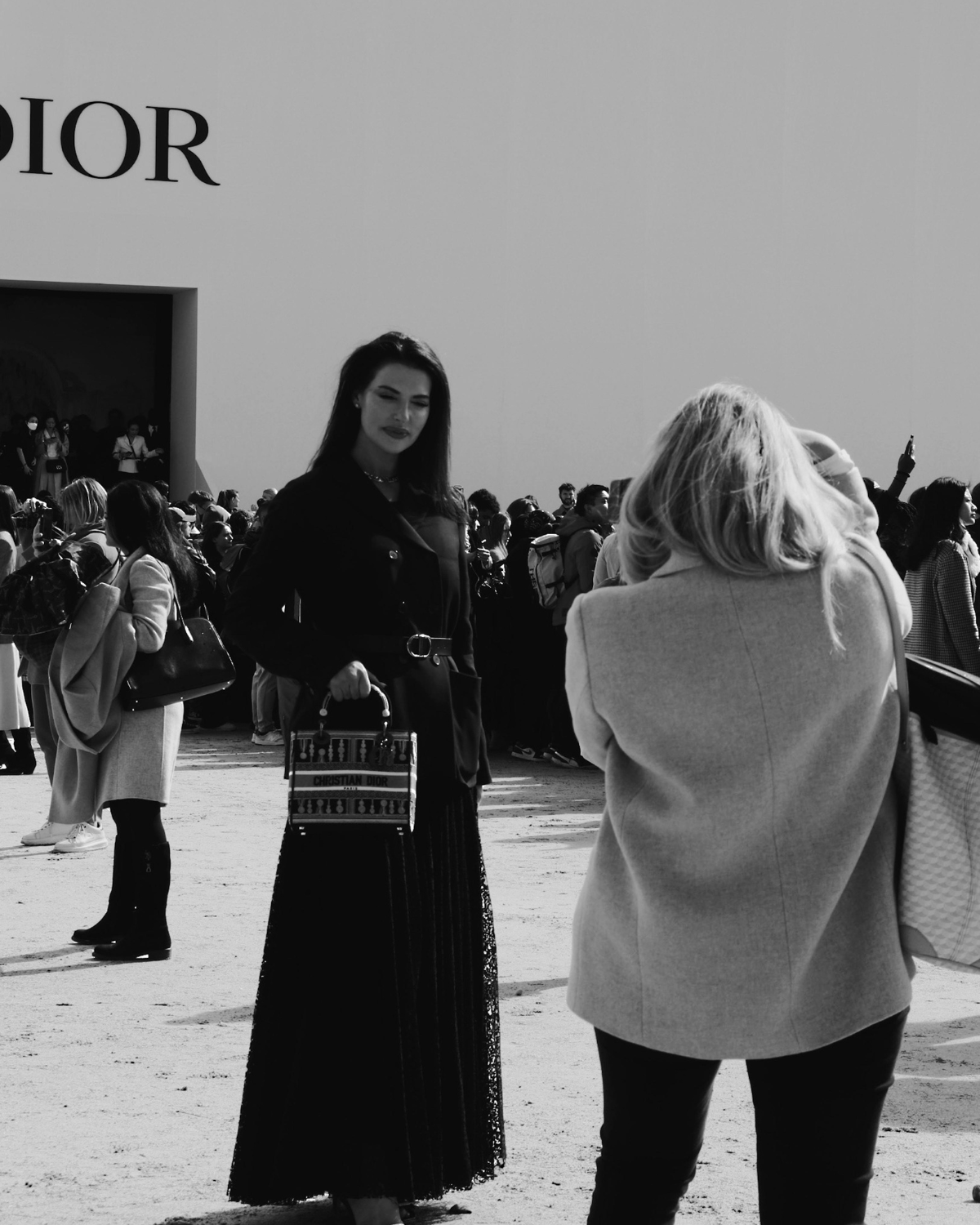 6 Month Social Media Planner: For Content Creators & Influencers | Animalier