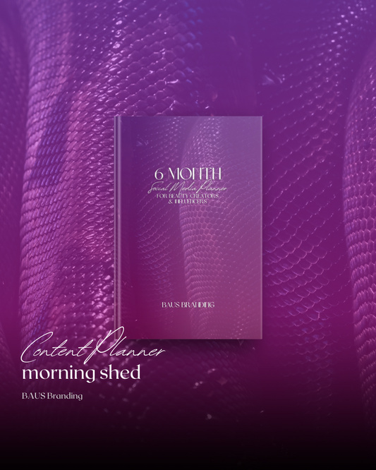 beauty creators morning shed